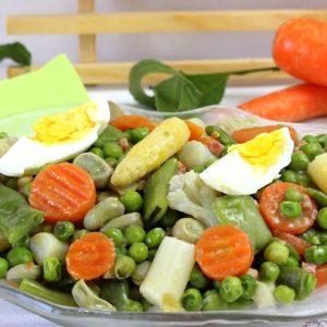 Vegetariano estricto